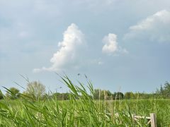 -野鸭湖国家湿地公园