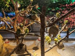 -酷嗒动物文化乐园(cutezoo西溪乐天城店)