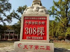 -千年银杏谷文化旅游区