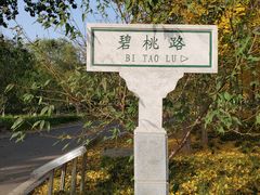-石家庄市植物园