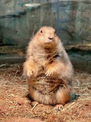 -Zoolung Zoolung动物主题公园(海信广场店)