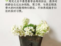 -福孕妈妈家政•月嫂育儿嫂保姆