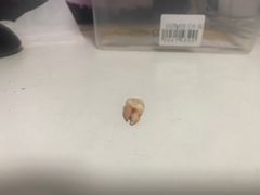 -北京市健宫医院