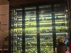 -Mercato莫卡多露台餐厅与酒吧(K11店)