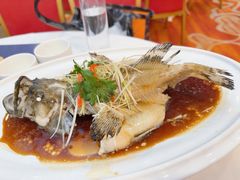 清蒸珍珠斑-凤凰楼酒家·粤宴点心(华强北店)