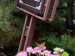 -天津盘山风景名胜区