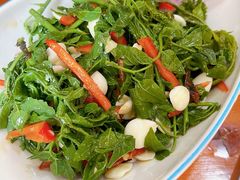 -兰州老马家族食府(康庄总店)