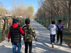 -亲兄弟真人CS团建拓展基地