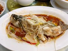 清蒸鲈鱼-泰丰楼(前门西大街店)