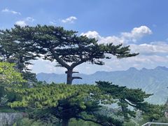 -圣莲山风景区