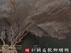 -中国湿地博物馆