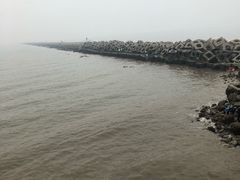 -东疆建设开发纪念公园