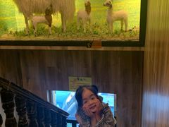 -清真·益鑫羊肉手抓馆(花园北街店)