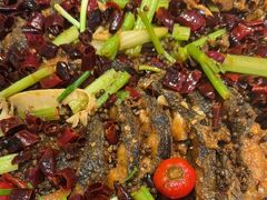 -老板恋上鱼(印象城店)