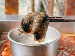 -凤来栖·净庭院·火锅(欧尚店)