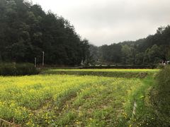 -韶山毛泽东同志故居