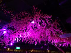 -韵秋荷(宝山龙湖天街店)