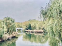 -济南大明湖景区