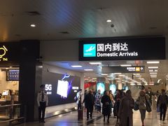 -厦门高崎国际机场-T3航站楼