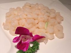 清炒河虾仁-花园茶楼(兴城西路店)