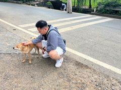 -村上春树