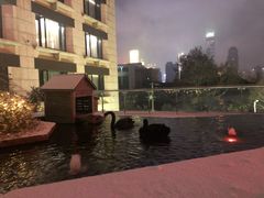 -行者书屋大堂吧 ·下午茶(南京圣和府邸酒店)