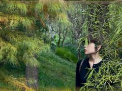 -云溪植物园