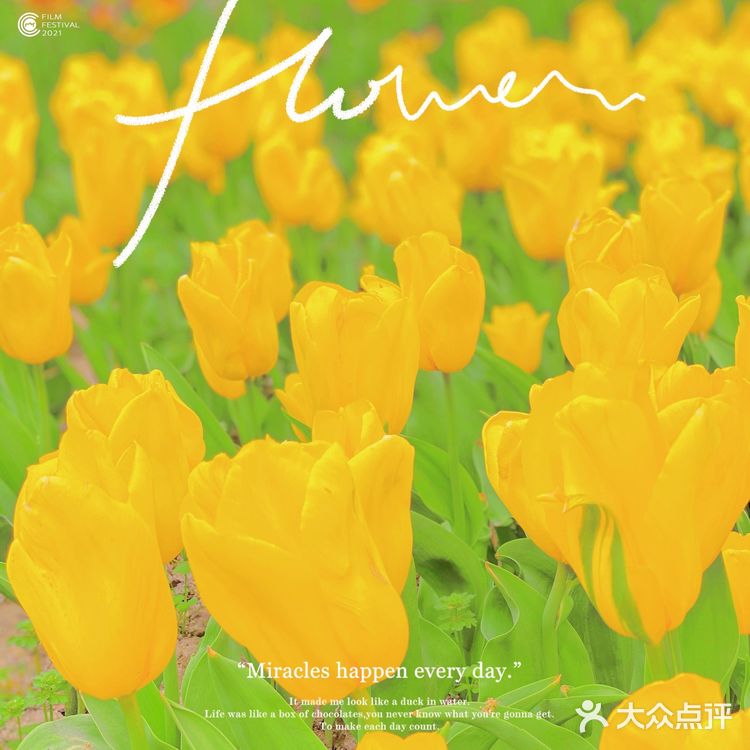 攻略 | 静安区0元不排队赏樱🌸保姆级指南建议收藏