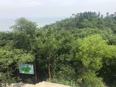 -巢湖姥山岛