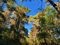 -萨尔浒风景区