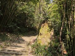 -缙云山景区