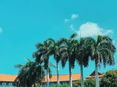 -三亚海棠湾万丽度假酒店