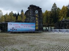 -汤旺河林海奇石景区