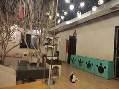 -萌喵咖啡屋(人民东路4号口M16商铺店)
