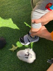 -萌宠亲子动物乐园(槐房万达店)