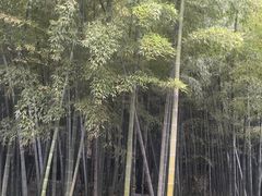 -苏州市银泉山莊大酒店