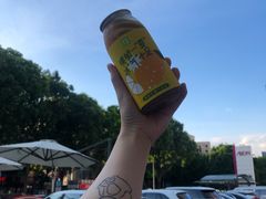 噗呲柠檬气泡茶-奈雪的茶(东莞汇一城店)