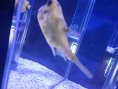 -太平洋海底世界博览馆·展览厅