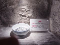 -广东中医药博物馆