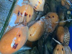 -蓝湾碧波·老字号·疍家非遗海上餐厅