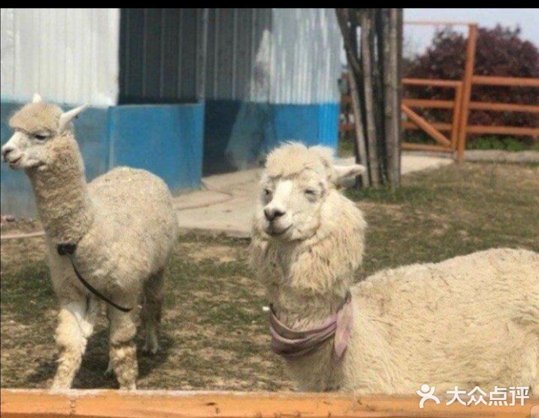 放电就去亲子乐园[调皮]