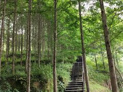 -唐崖土司城遗址