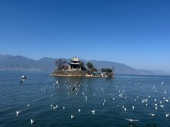 -南诏风情岛