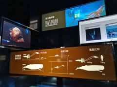 -同济大学四平路校区深海探索馆