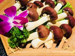 -番食园鲜食火锅(高新店)