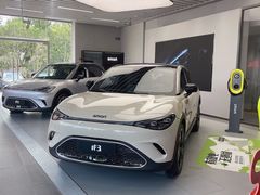 -上海浦东smart汽车全功能店(金桥店)