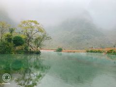 -靖西鹅泉风景区