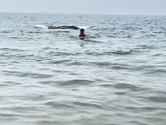 -老虎石海上公园