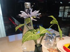 -Mezomd曼索蒂西班牙餐厅(广粤店)