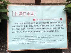 -衢州市博物馆